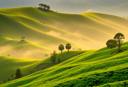 Munnar