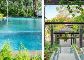 Turquoise infinity pool surrounded by lush tropical forest and trees